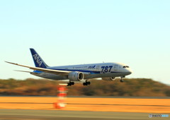 B-787 landing  