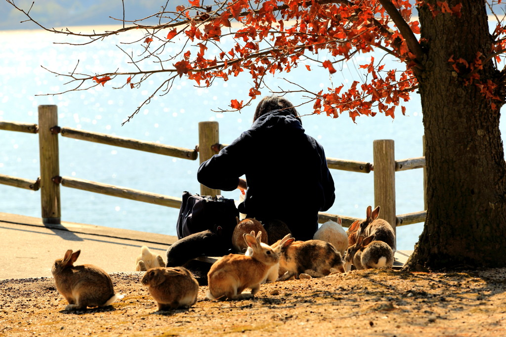 瀬戸内海の休日