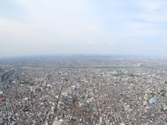 展望回廊からの風景