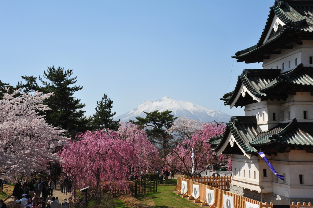 桜と山と城
