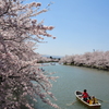 西濠の桜