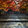 真如堂参道の紅葉１
