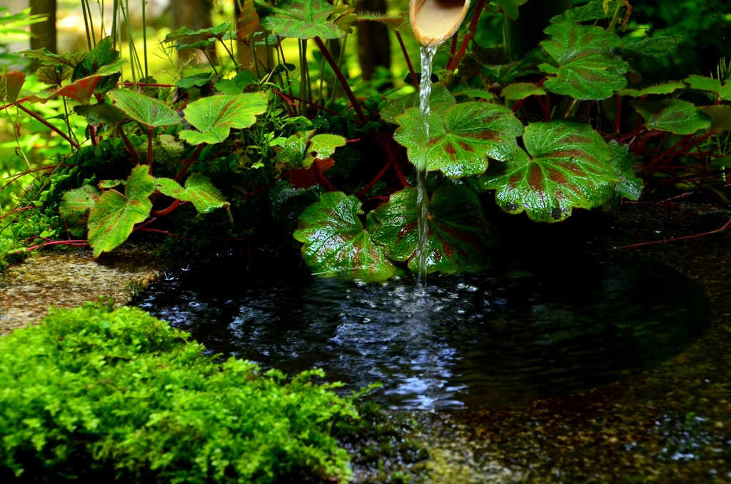 懺法洗心 清浄水