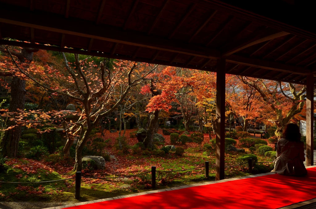 圓光寺庭園・晩秋