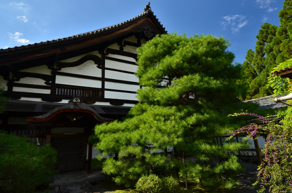 南禅寺金地院・庫裏