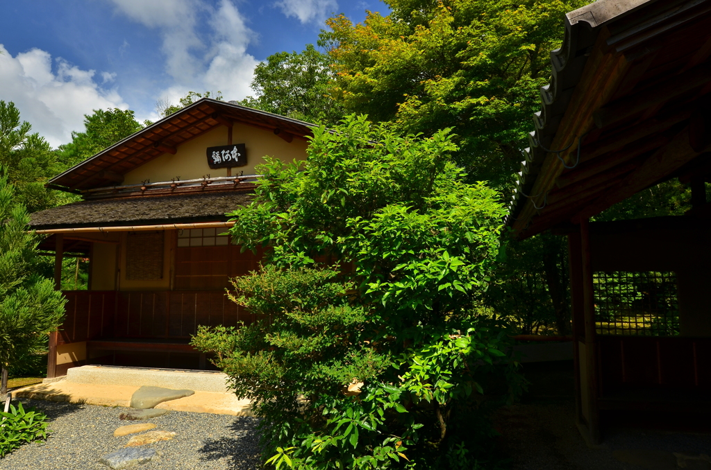 光悦寺・本阿弥庵