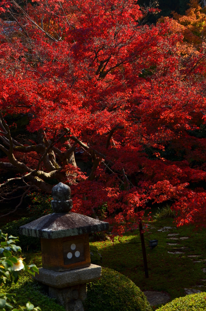 色紙の景色の裏側