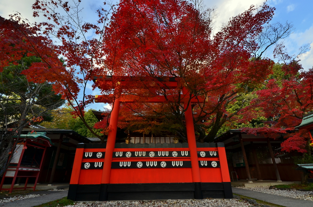 車折神社・本殿鳥居