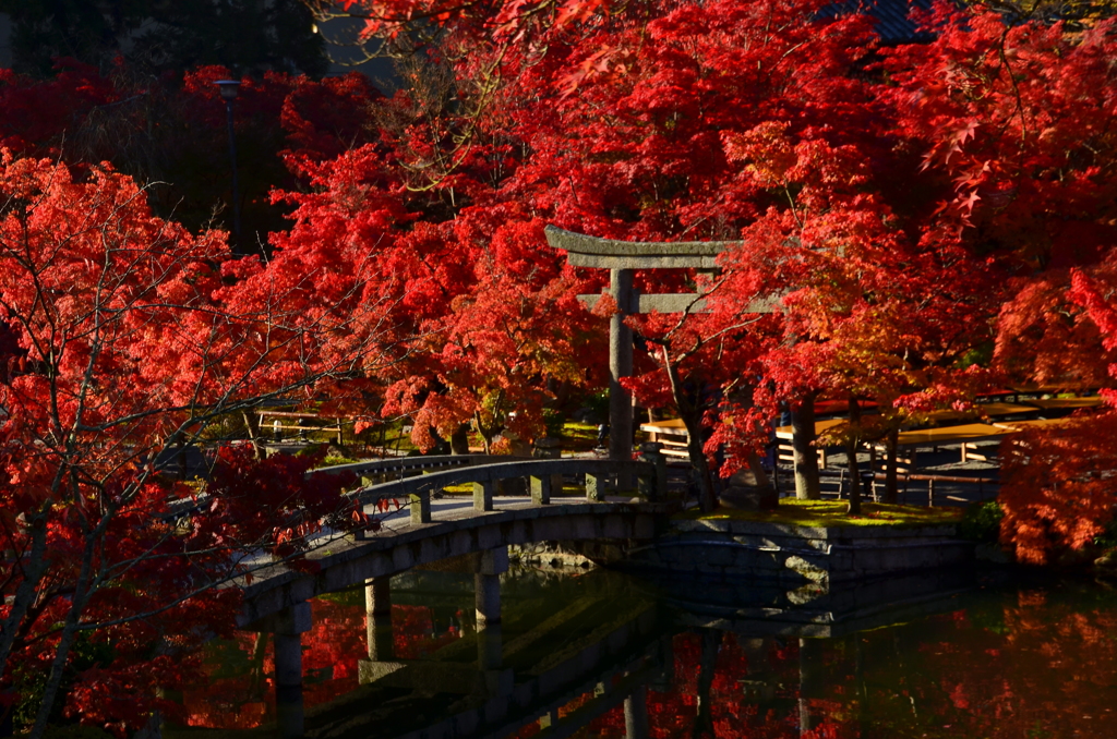 永観堂・弁天社橋２