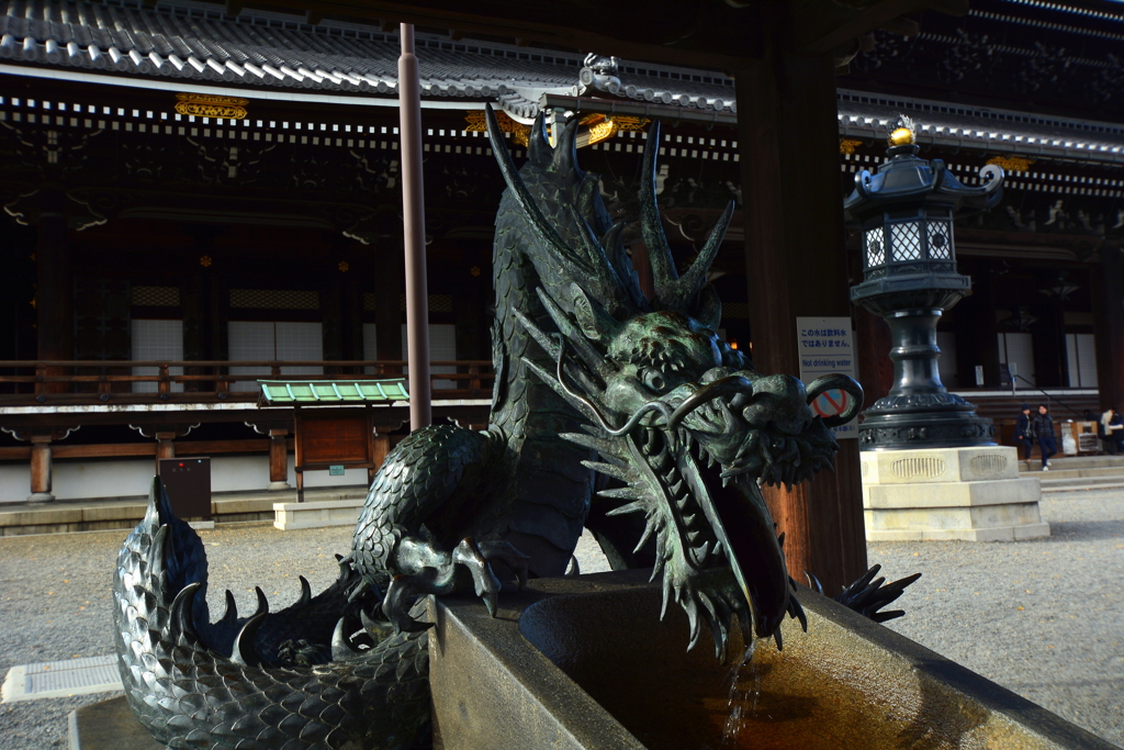 東本願寺・手水舎の龍１ by ginkosan （ID：7541033） - 写真共有サイト:PHOTOHITO