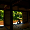 芬陀院　鶴亀の庭