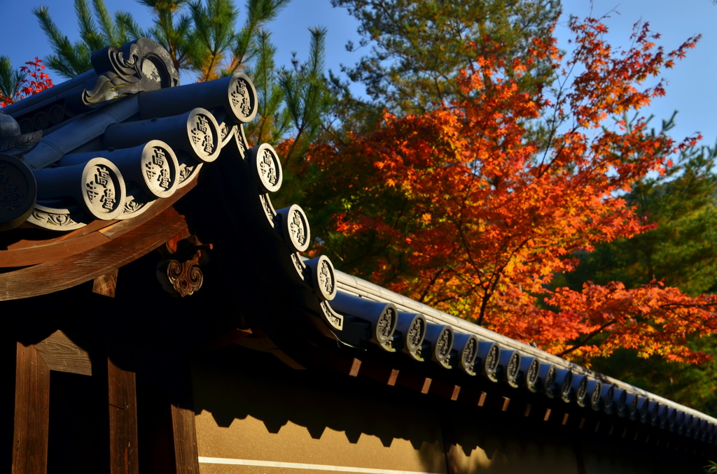 高台寺の瓦と紅葉