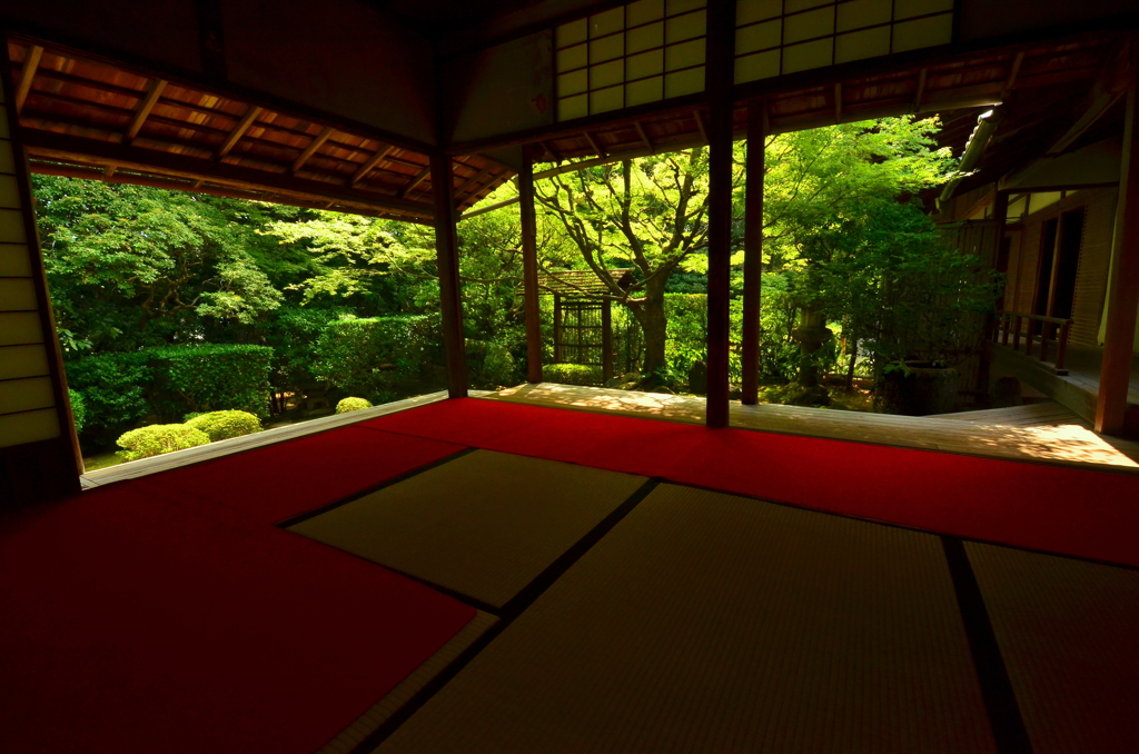 妙心寺桂春院・侘の庭２