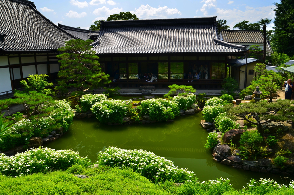 建仁寺両足院・庭園２