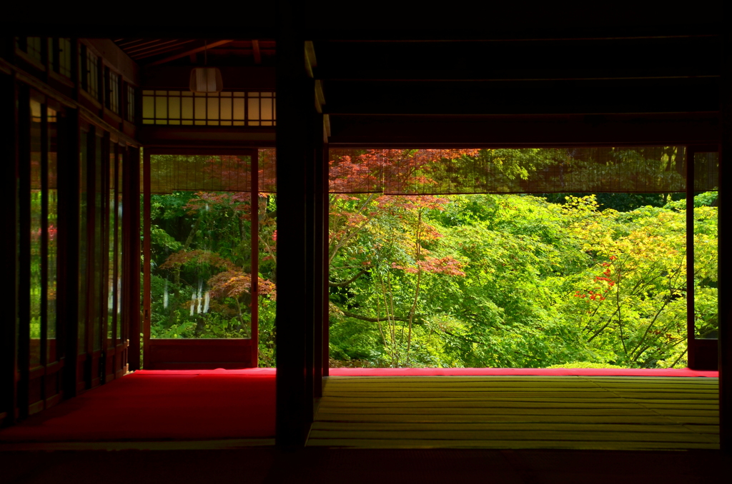 南禅寺天授庵・初秋