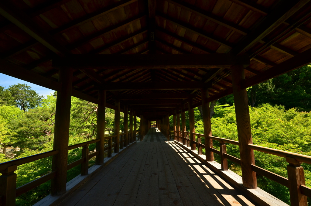 東福寺・通天橋３