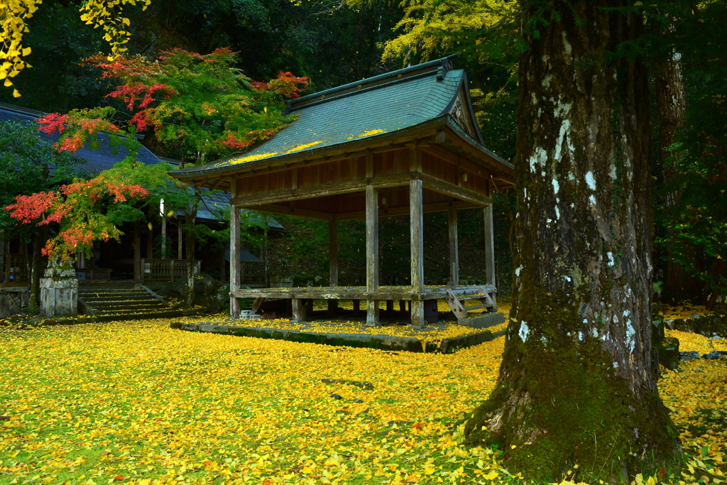 岩戸落葉神社の秋・令和３