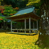 岩戸落葉神社の秋・令和３