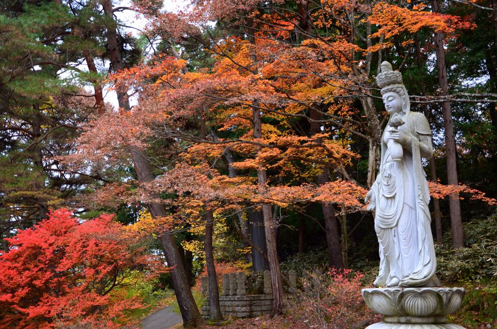 霊松寺・秋１