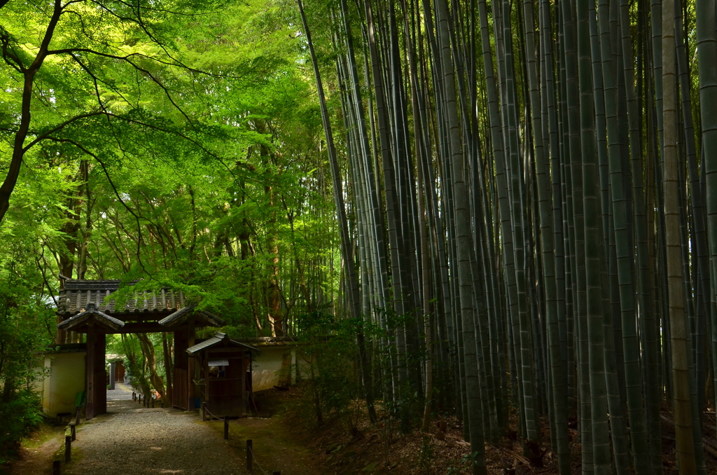 地蔵院・総門２