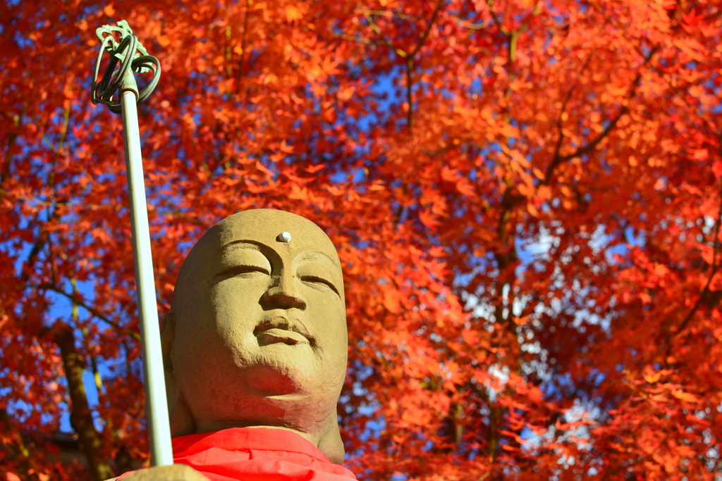 壬生寺の地蔵と紅葉