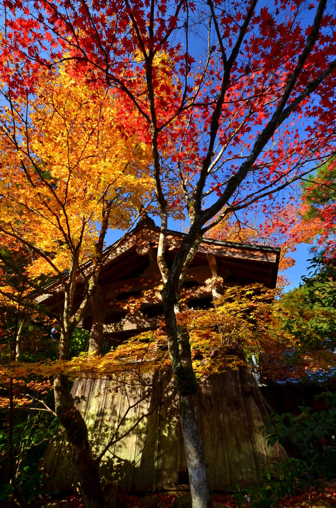 常照皇寺・鐘楼２