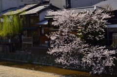 鴨川沿いの情景