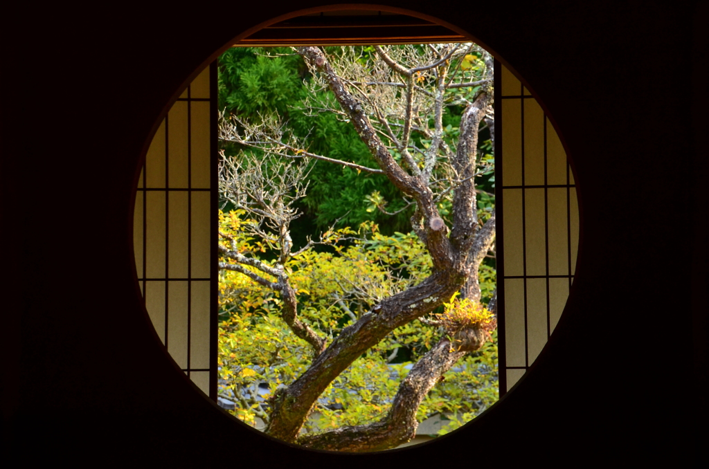 雲龍院・悟りの窓
