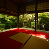 妙心寺桂春院・侘の庭８