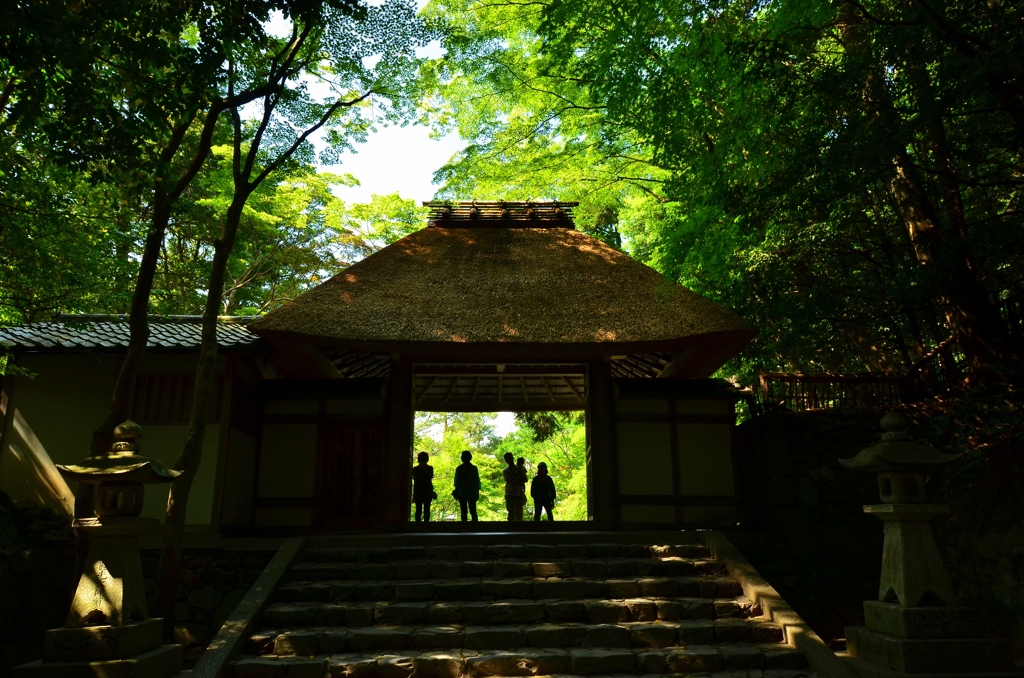 法然院山門１