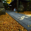 白雲神社の紅葉３