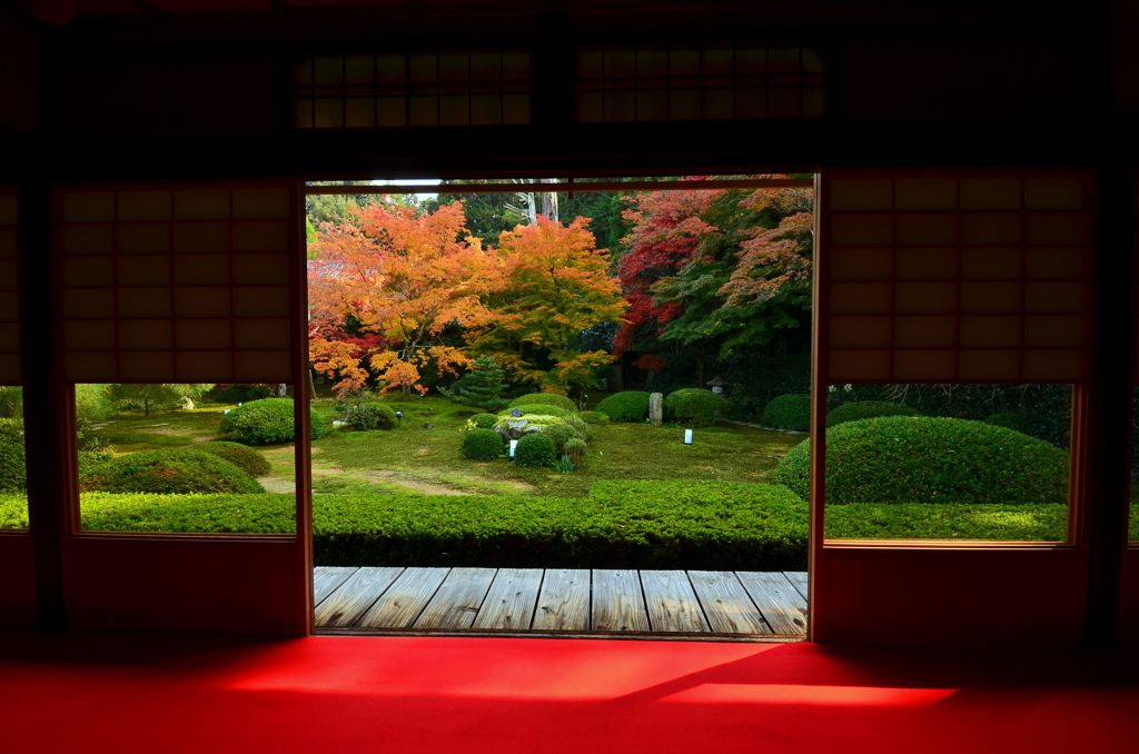 雲龍院・庭園