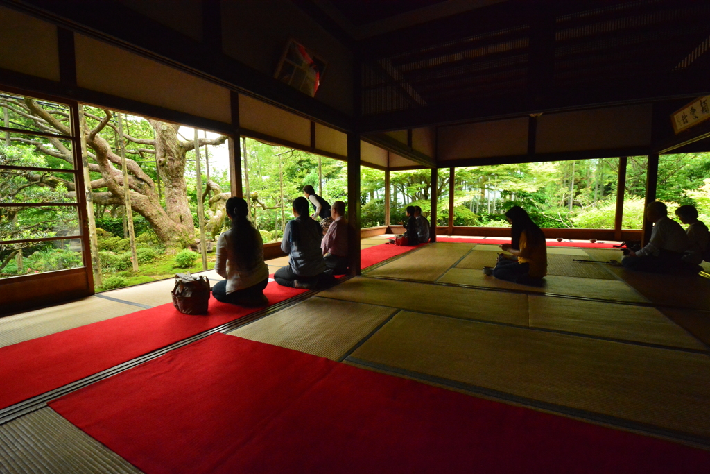 宝泉院・額縁の庭園