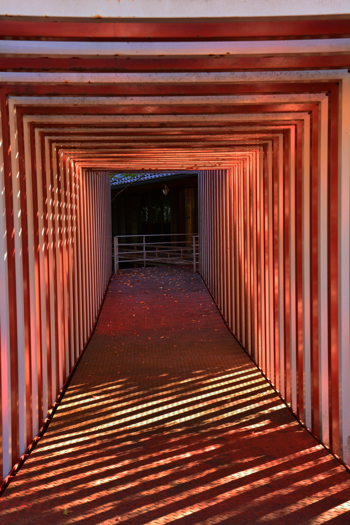 人形の家の紅葉トンネル２
