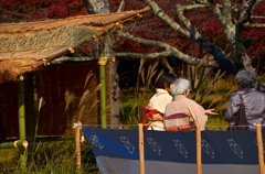 平安郷の秋・野点