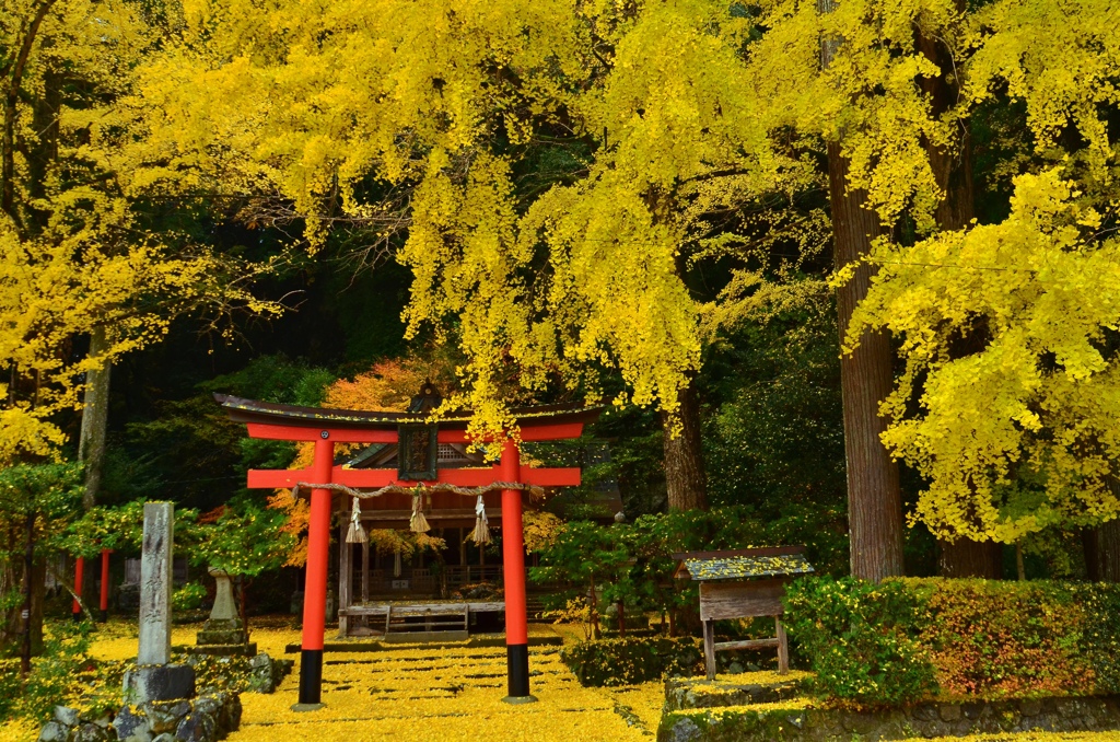 岩戸落葉神社・終幕１