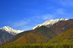 初冠雪