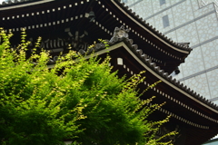 六角堂本堂の屋根２