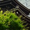 六角堂本堂の屋根２