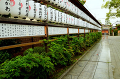 雨の日の参道