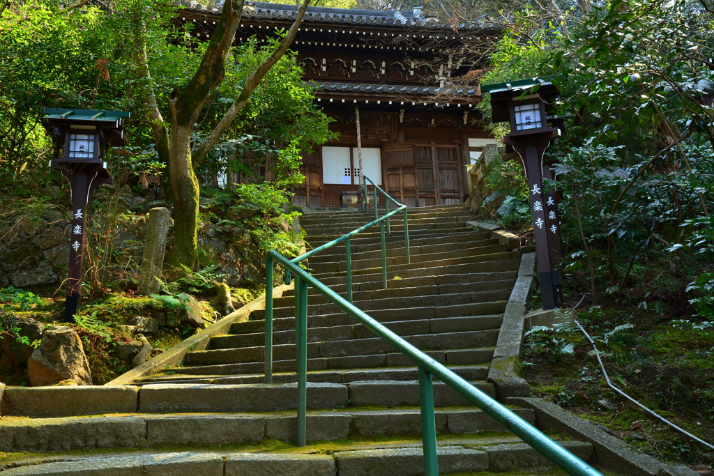 長楽寺本堂・参道１