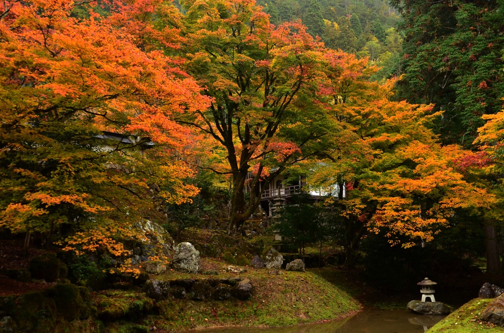 常照皇寺・前庭