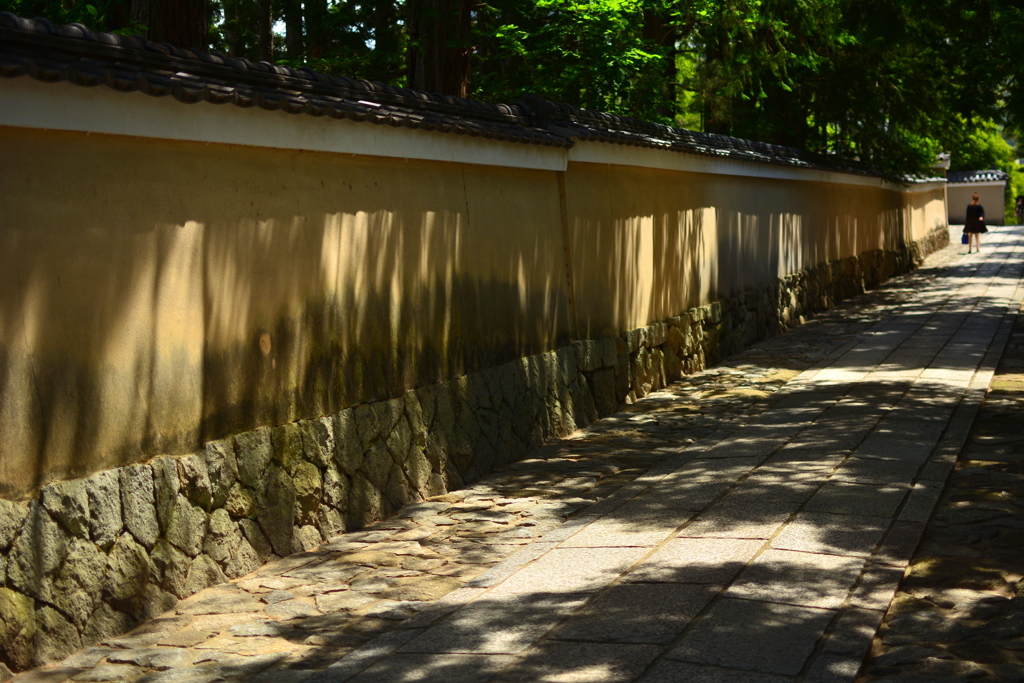 木漏れ日の参道