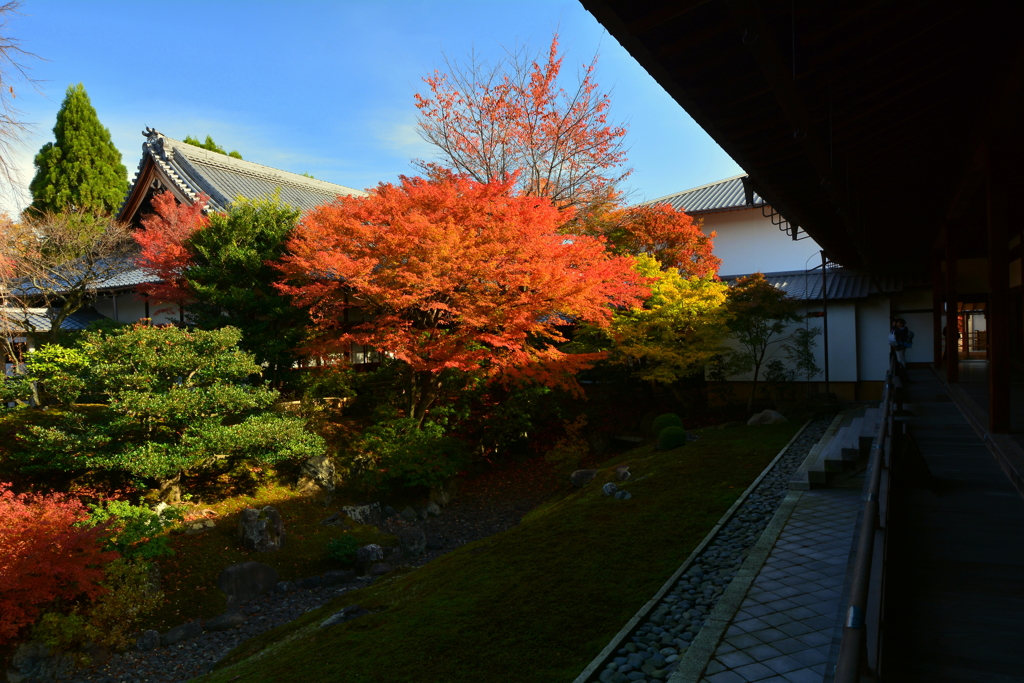 相国寺裏方丈庭園１