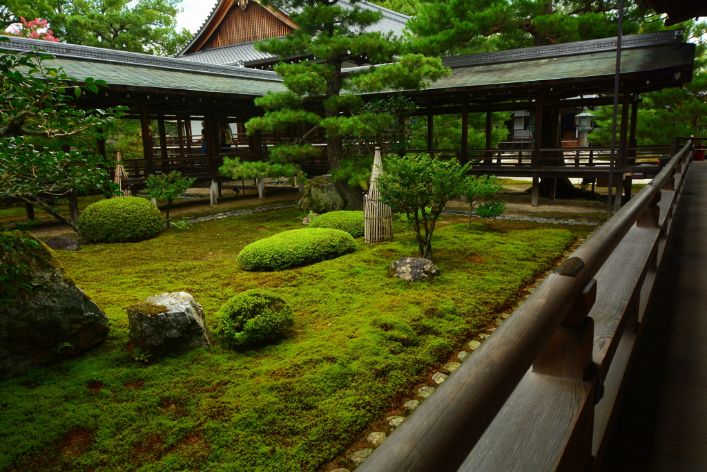 大覚寺・宸殿裏庭園