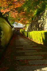 善峯寺・阿弥陀堂参道２