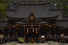 多賀大社本殿・雨