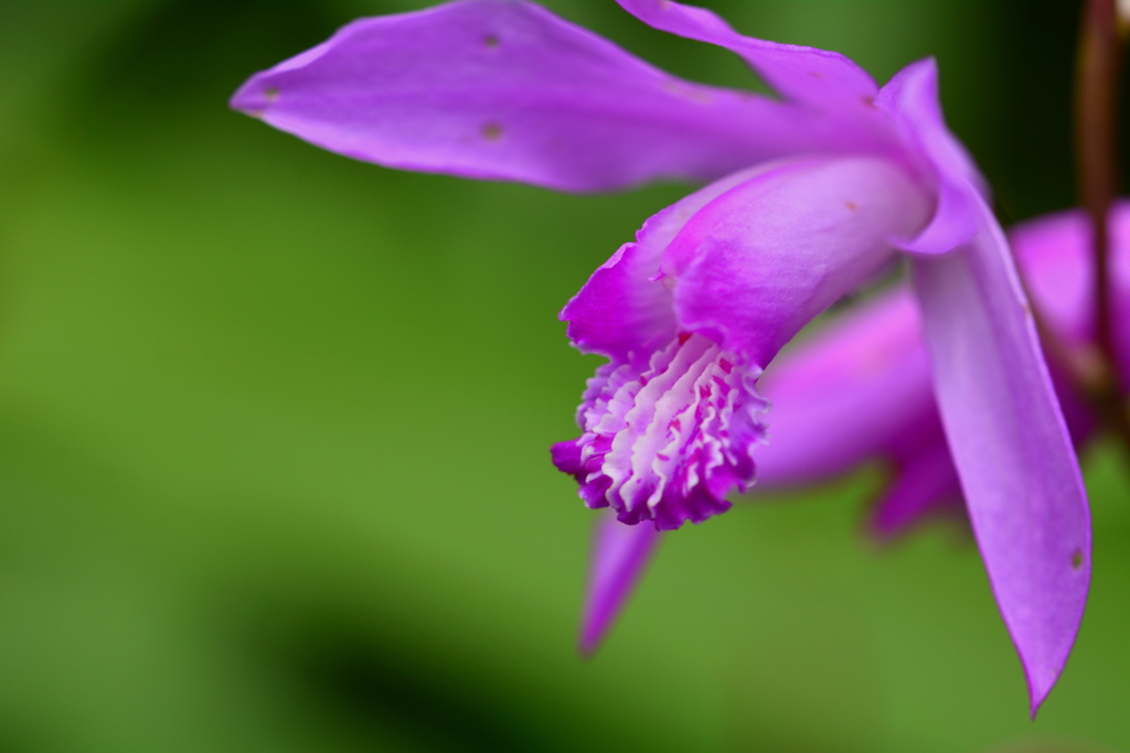 梅雨の五月