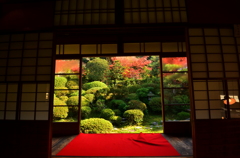 安楽寺・額縁庭園　右