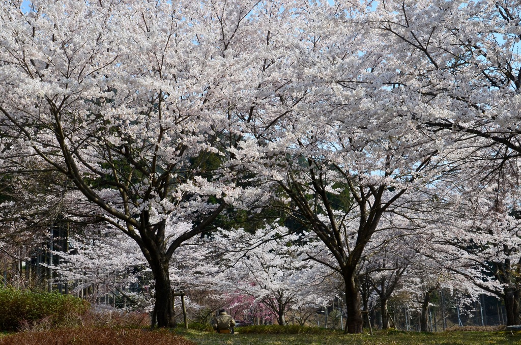 画家の居る風景